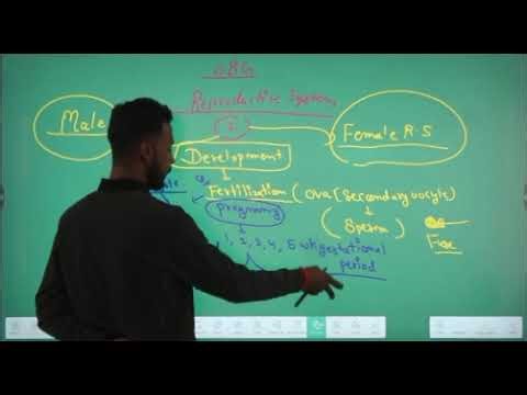 OBG introduction part 2