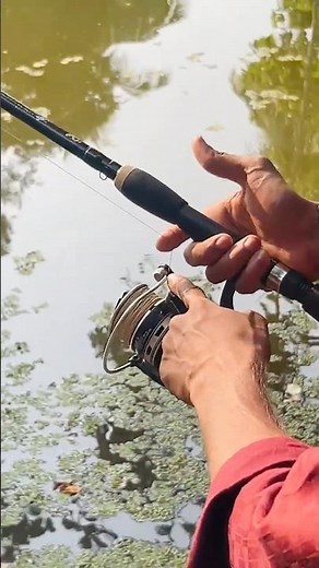 rod and reel casting tip & using tip🔥#fishing#rod#reel#tips