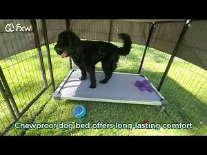 Outdoor Dog Playpen & Essentials | Safe, Flexible, and Easy Setup