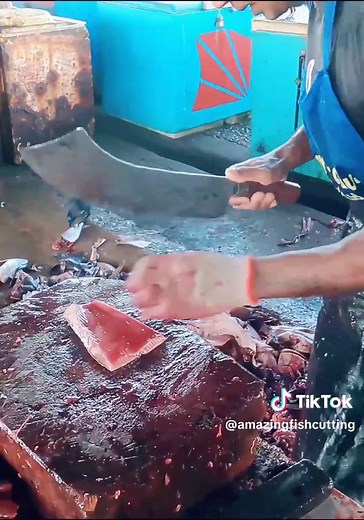 Expert Skipjack Tuna Fish Cutting Techniques