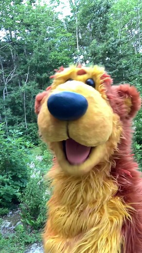 Exploring Nature with Noel MacNeal in Bear in the Big Blue House