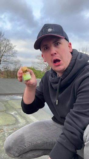 Interactive Dog Toy Fun with Hands and Vacuum