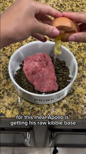 Step by step how i prep my pitbull/bully raw meat for the week
