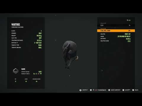 Ps5 Call of the Wild - Run & Gun Missing hunting