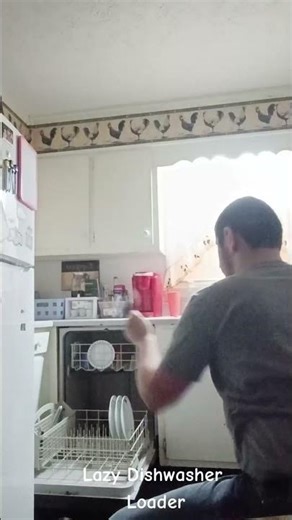 Lazy Dishwasher Loader
