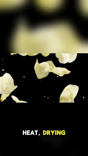 Principles of Food Preservation – How Food Stays Fresh Longer