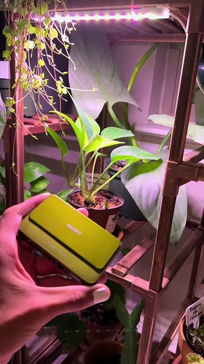 Explore Sony Cyber-shot DSC-T99: Photo Examples and Vintage Vibes