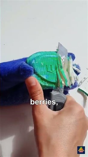 Knights Tour & Bananas: Mind-Blowing Facts You Didn't Know!