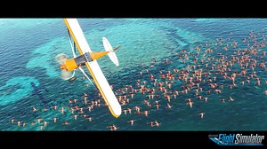 今週の注目作は『Microsoft Flight Simulator』 気象もリアルタイムに再現する、フライトシミュレーターの決定版！