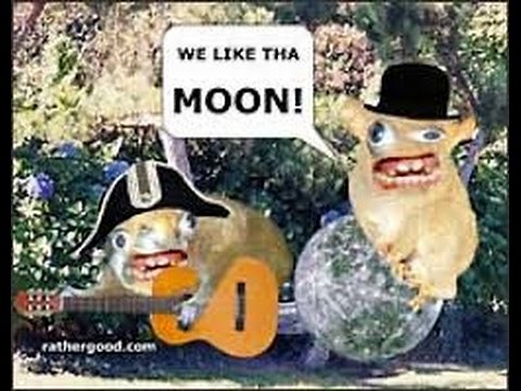 Spongmonkey Compilation!