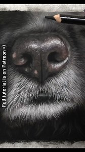 50K views · 1.3K reactions | This element of a dog portrait is...