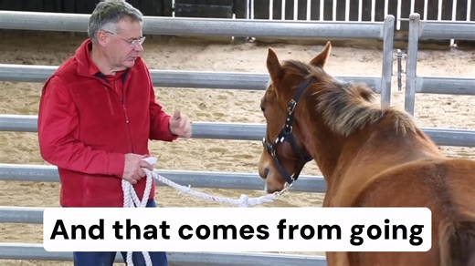 🐴 The Respect Myth I’ve heard at least a thousand times that you must gain your horse’s respect. It’s a mantra parroted off by horse people everywhere and many trainers say that respect is the first thing you must achieve. There are countless videos, articles and books on how to gain respect from your horse. Respect is often explained as a horse giving an appropriate response when pressure is applied. But what is an appropriate response? A horse may buck or kick up when he’s ridden for the firs