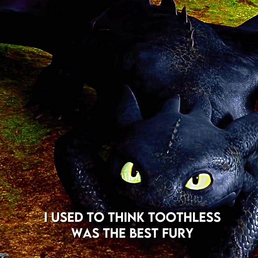 slight FW // late to the trend as usual // just my opinion i have nothing against the light fury‼️ #httyd #howtotrainyourdragon #fyp #toothless #lightfury #edxtblz