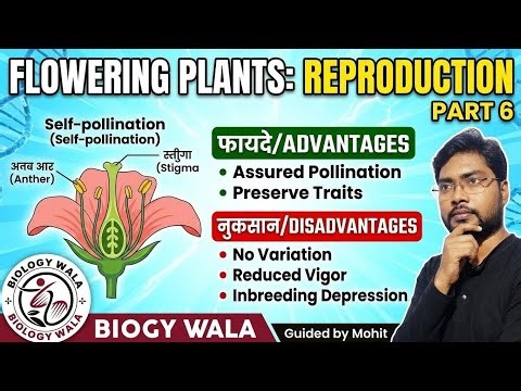 The Pros & Cons of Self Pollination Explained in Hindi! 🌿 Class 12 Part 6