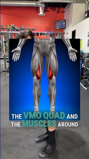 Why Knees Over Toes Isn't Fixing Your Knee Pain (Do This Instead)