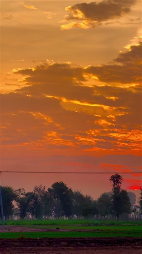 Exploring Punjabi Culture Through Photography