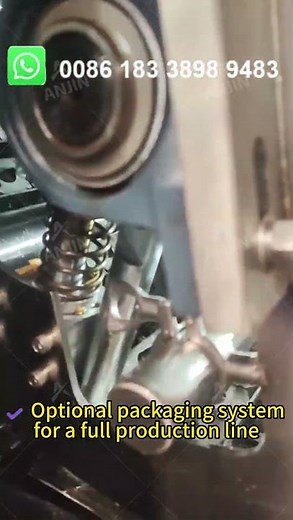 100kg/h Compound Chips Production Line Automatic Potato Chips Processing Equipment