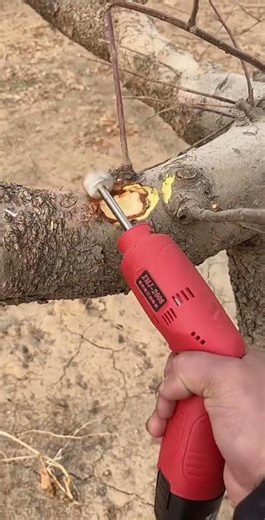 The Process Of Root Removing Process - Goodtools and machinery make work easy