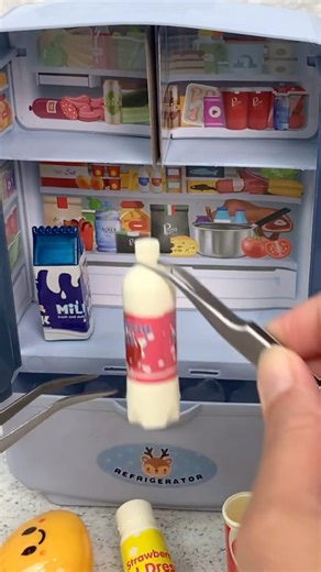 Mini Fridge Review ASMR #miniature #toyreview #asmr