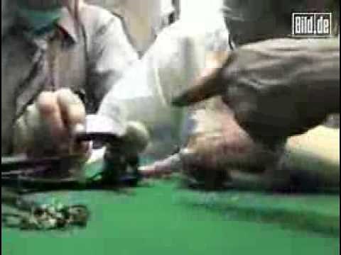 ALIEN FOUND IN MEXICO!