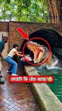 The Most Unexpected Animal Moments Ever Caught on Camera 😱 Part-4 (Wonderful bird)