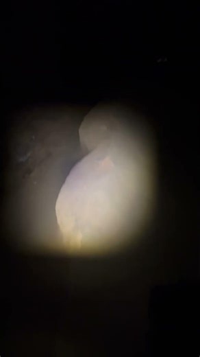 Hidden Cave Walk in Spain | Exploring Cova Tallada 🇪🇸 #dénia #shorts #cova