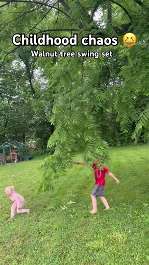 Childhood chaos… introducing the Walnut branch swing set 🌳