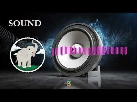 The sound of an elephant #freesound #sound #soundeffects #elephant #share #shorts