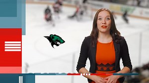 WDIO is excited to bring you SUPER SATURDAY! A full day of hockey on air and streaming on WDIO platforms for free. Here's how to watch: https://www.wdio.com/how-to-watch-mshsl-tournaments/ | WDIO
