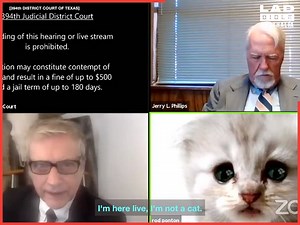 282K views · 4.5K reactions | "I'm here live, I'm not a cat"  | LADbible Australia | Facebook