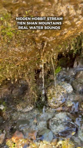 Secret Hobbit Stream Sounds 🌿 Hidden Mountain Water | Tien Shan Kazakhstan #nature #relax
