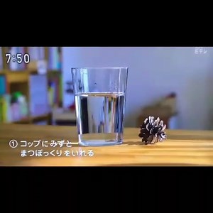 ウソだと思うならやってみな1,2☆奥田民生（ピタゴラスイッチ）