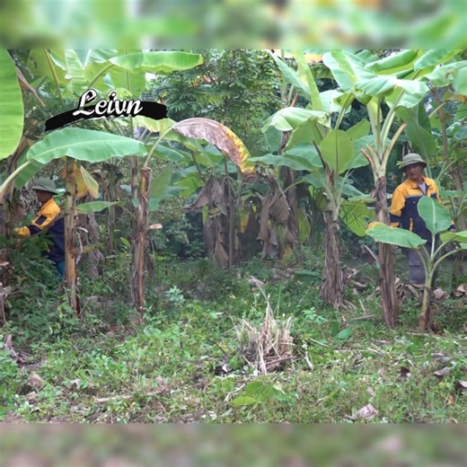 21 reactions | Missing Man Sad as He Returns to His Old Home Afte Cre:Clean Up 1991 . . . . . #deepcleaning #oddlysatisfying #beforeandafter #makeover #transformation #sariafyingcleaning #sparklingclean #tidyup #deepclean #homecleaning #putzen #nettoyer #cleaning #rivercleanup #cleanupthedirtykitchen #cleantok #superclean #kitchencleaner #limpiezahogar #cleaningforfee #housecleaning #kitchencleaning #bedroomcleaning #livingroomcleaning #cleanupthetrash #cleanupthedirtyroom | Sem | Facebook