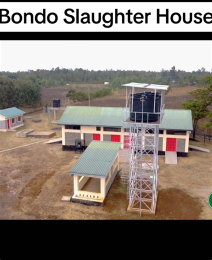 Revitalized Bondo Slaughterhouse Transforms Livestock Industry