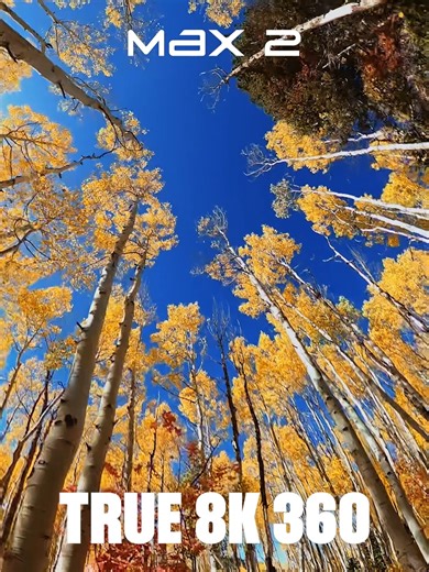 Meet #GoProMAX2—Part 1 of 6 🎥 True 8K 360 video for up to 21% more resolution than the competition. True 8K video means exactly that—no misleading upscaling, no counting unused pixels, no AI-generated content, just real resolution that gives you sharper detail more freedom to reframe. Combine this with MAX2's 10-bit color, GP-Log encoding, industry-leading 300mbps bitrate with GoPro Labs you get the highest quality 360 image on the market. 8K resolution allows your reframes to play in stunning 