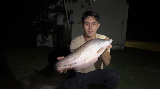 Why this rare knife fish only appears at night