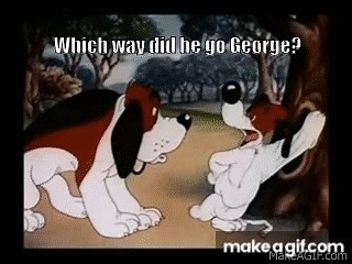Which way did he go George? on Make a GIF