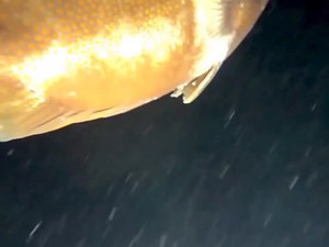 Night Spearfishing Uninhabited Island | Fishing Videos