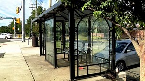 63-year-old woman beaten to death at bus stop