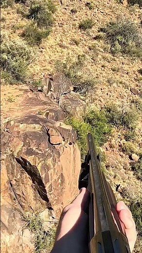 BABOON Hunting Shots