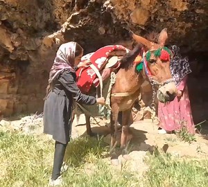 Adventure, nomadic life, life in the cave, Koch nomadic, Iran (2023) Nomadic life | Outdoor Cooking