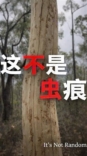 《徒步时发现失落文字》 A Lost Script Discovered