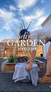 Does your soil need a 🌸 spring refresh? 🌸 This is my go-to recipe for amending containers or raised beds! Not only is this very affordable, it’s mild (alfalfa is a 2.5-0.5-2.5 NPK— low in P, important for those of us with a history of high phosphorus in our garden soil from too much compost. So while it’s always best to get a soils test at least every few years to keep an eye out for nutrient overload, you can also apply this one without much worry. this recipe is adapted from the @rodaleinsti