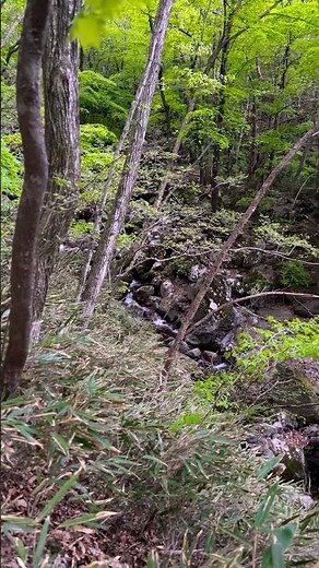 #travel #hiking #山登り #등산 #등산코스 #mountains #지리산 #지리산국립공원 #국립공원