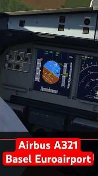 Cockpit view Airbus A321 landing Basel Euroairport - Aerofly FS