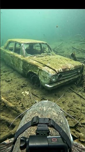 A Fish with a GoPro Find Lost Items at the Bottom of a Golden Bridge #gopropov #gopro