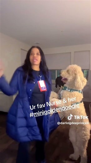 #tiktokviralvideo #funnytiktokvideos #tiktokfunny #tiktokviralvideo #fyppppp #dogmom #dogshorts #fyp