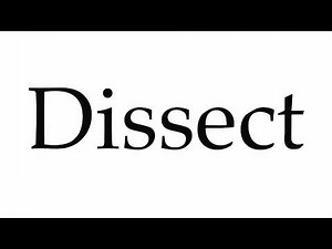 How to Pronounce Dissect