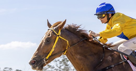 Former Hong Kong galloper brilliant at Wondai :: Racing Queensland