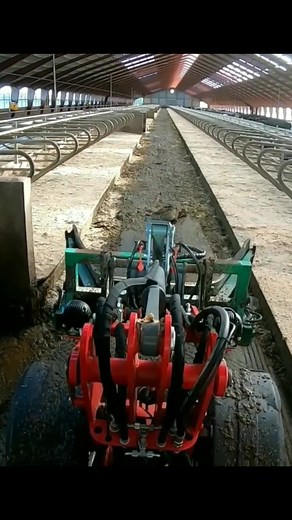 Behind the Scenes: Revealing the Gritty Side of Cow Farming